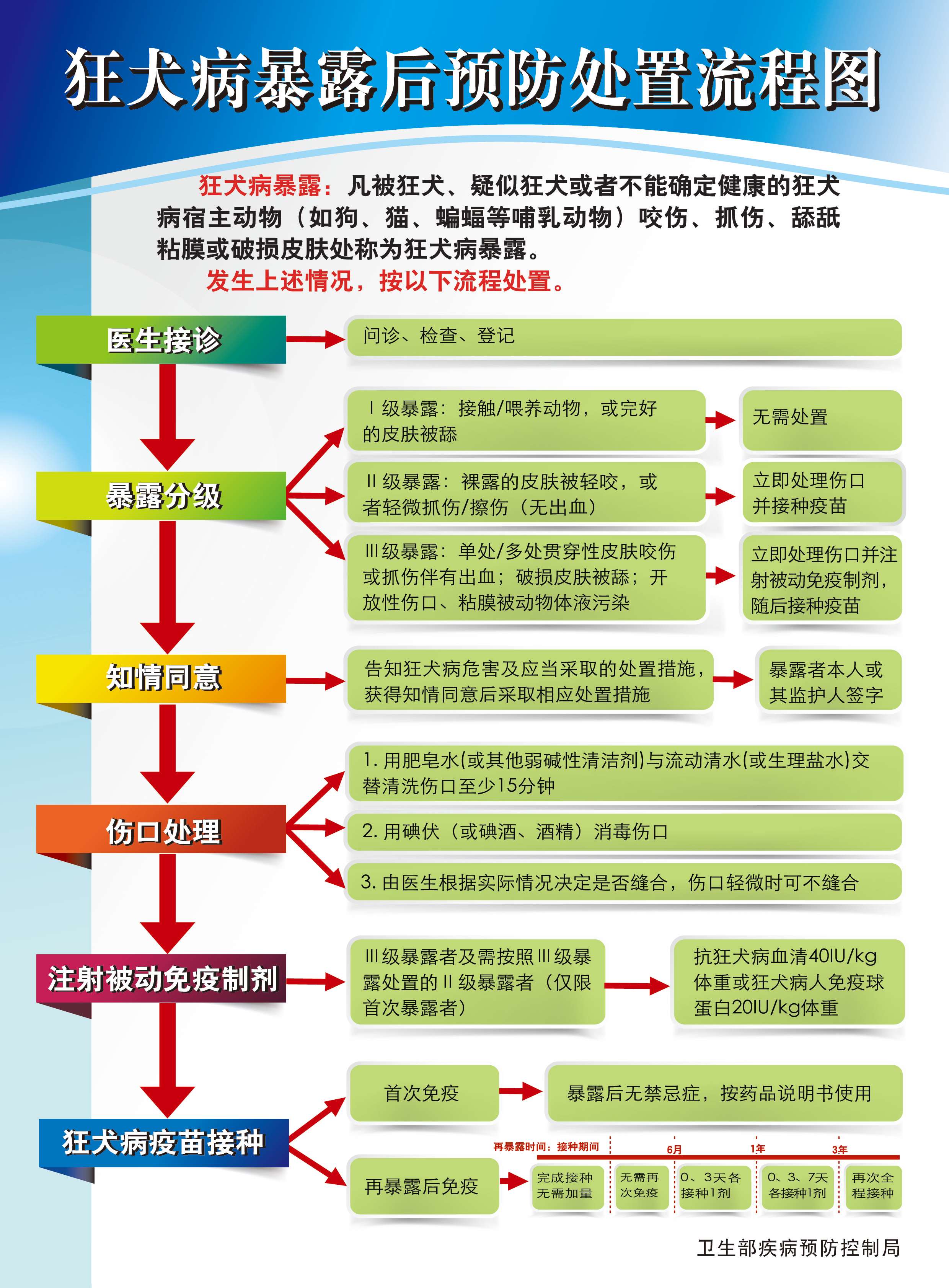 狂犬病暴露后预防处置流程图